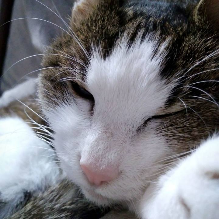 D3e4db56 bd77 40eb a4f3 a90b5f294c0f 1549627540101