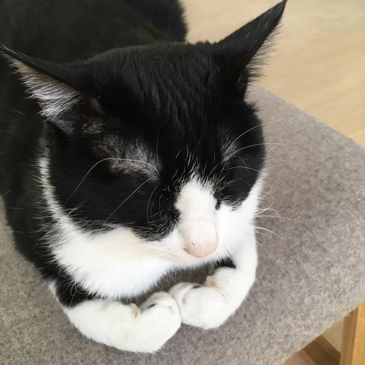 D3e4de71 6160 4bc9 8152 2773ba4f7516 1517842404533