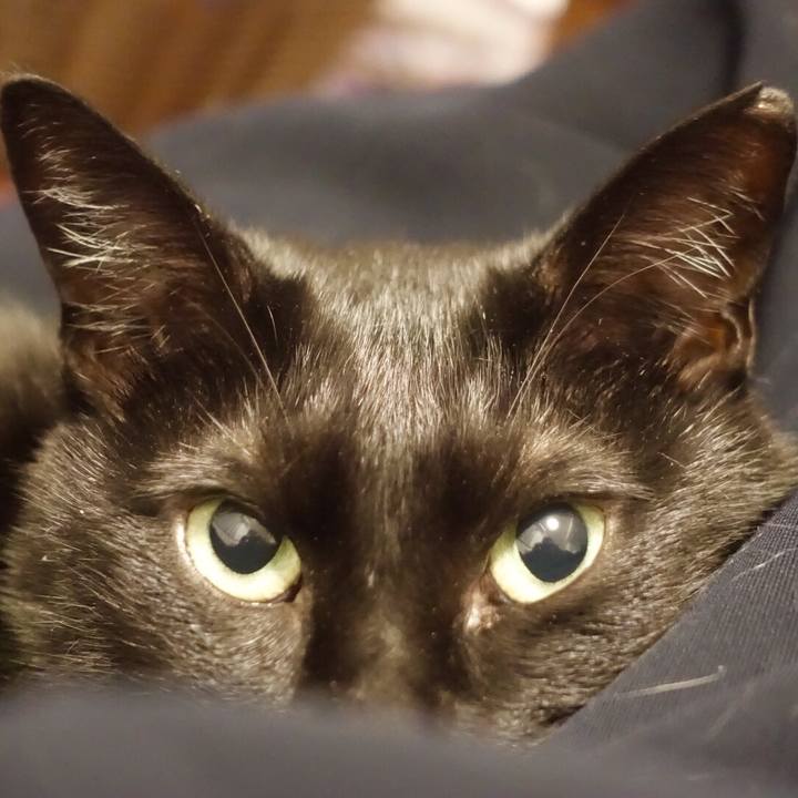 D3e50d7f ed1d 43a4 ba12 7ec61e7232b5 1552402963682