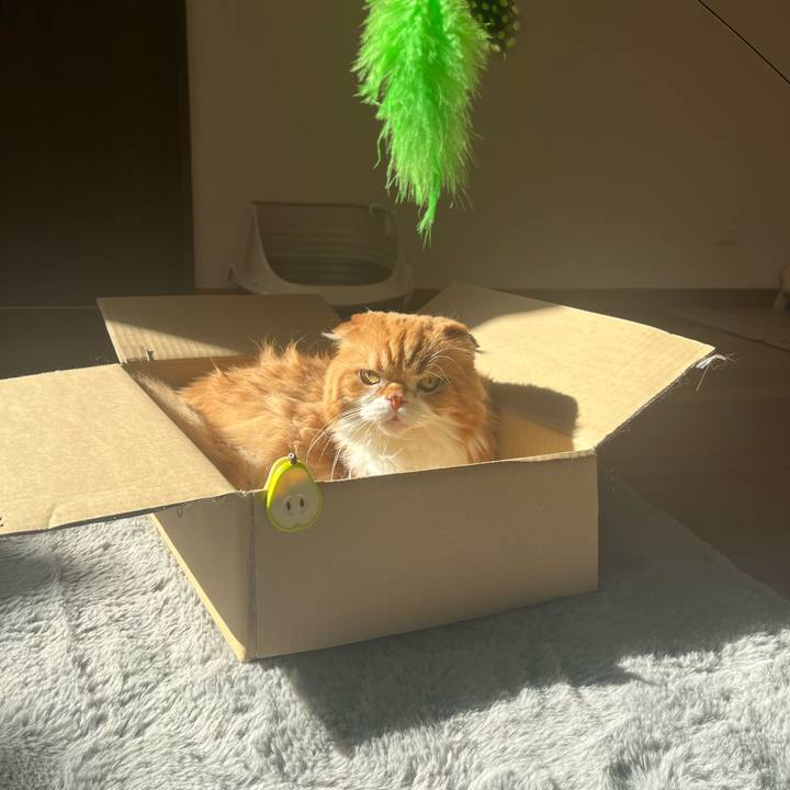 D3e51804 7083 451f a0dd 01609cac0c50 1764467779016