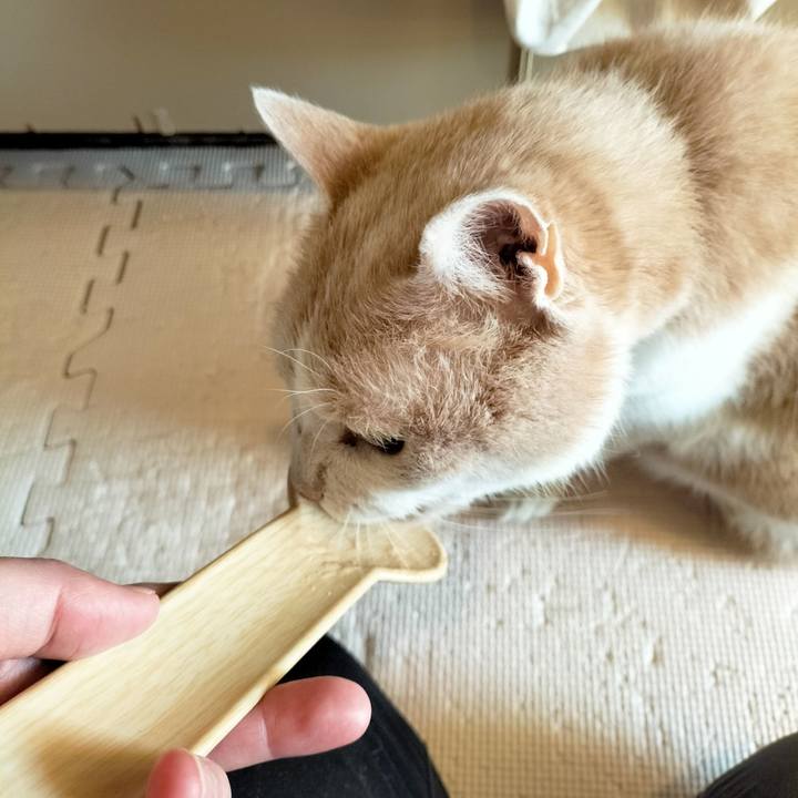 D3e531c7 6038 44b2 bcd4 0e84bbc33f3c 1671402901756