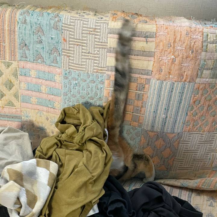 D3e53d01 e5ae 4899 8231 7595c9e86f10 1662002658803