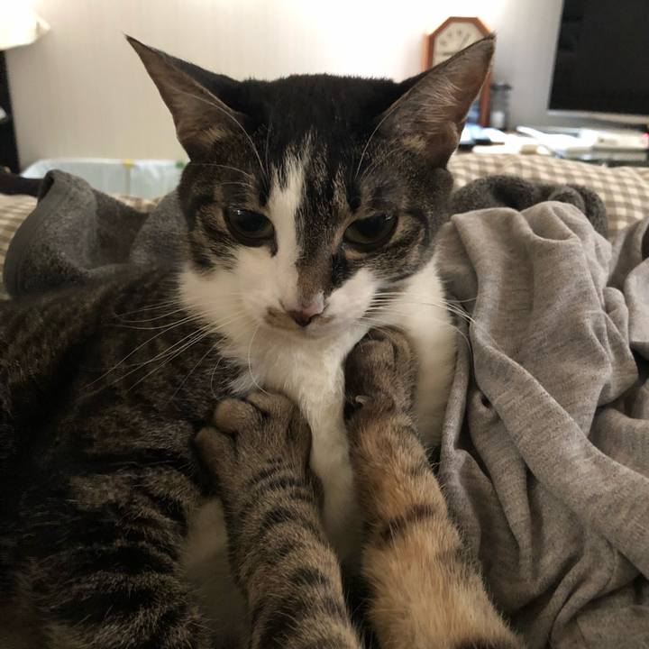 D3e54ec9 f88d 462c 9f04 7cea503e0a3d 1544386936172