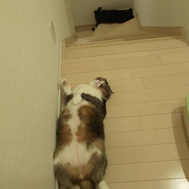 D3e5583e a12a 4c17 aa71 0f996cc9e6da 1564922542171