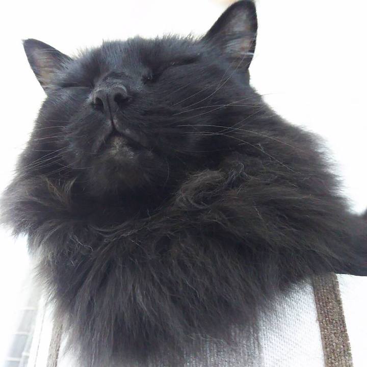 D3e56dbc a87e 4c83 9557 71196c1df1a6 1544333098581