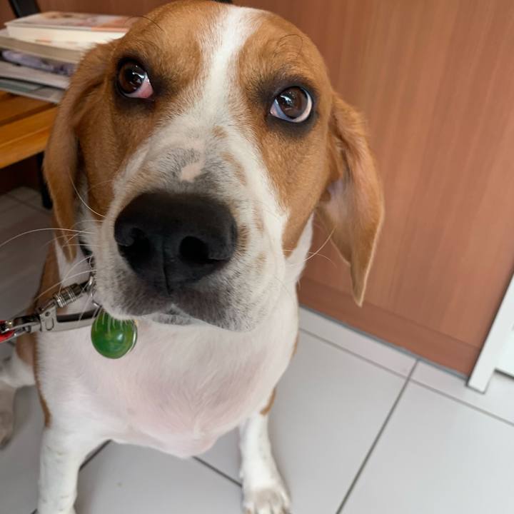 D3e56f51 496c 4304 84f4 663a3b6c1dae 1586667780848