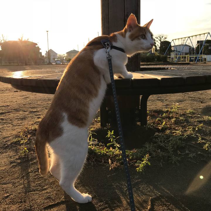 D3e5a52e 8e19 486a 9d79 bce5a5197f2f 1511422021338