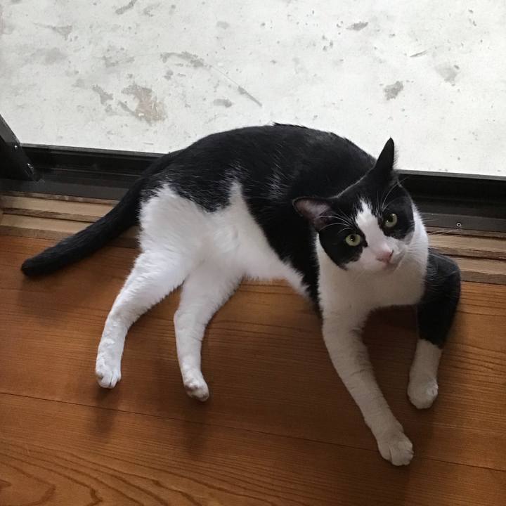 D3e5baf7 e6d7 4043 b57e 1a26767c6265 1724314810334