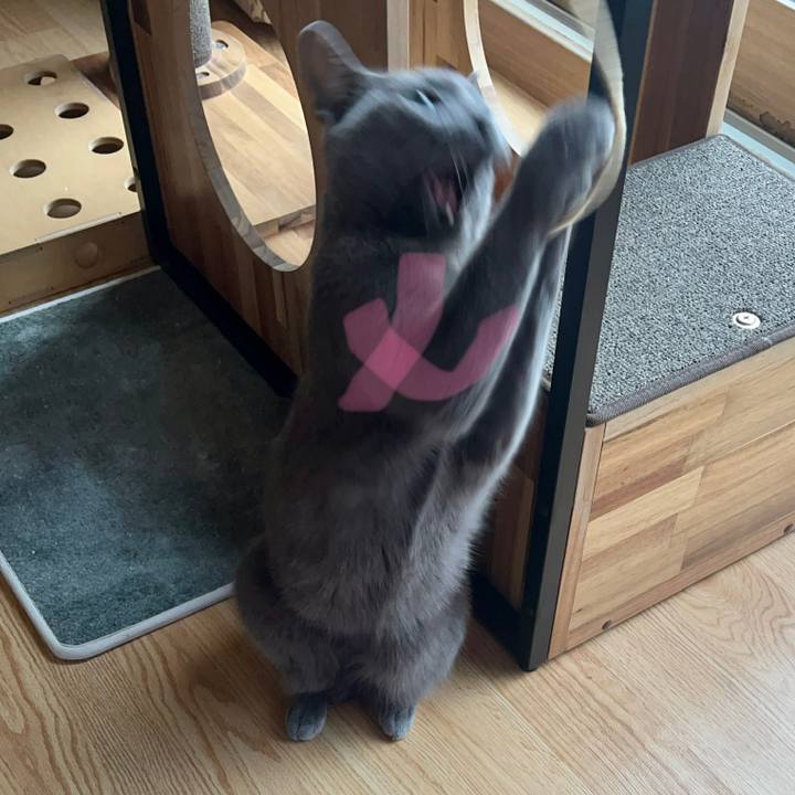 D3e5bfe0 3c51 4f90 951c cc341440bf6e 1687424348437