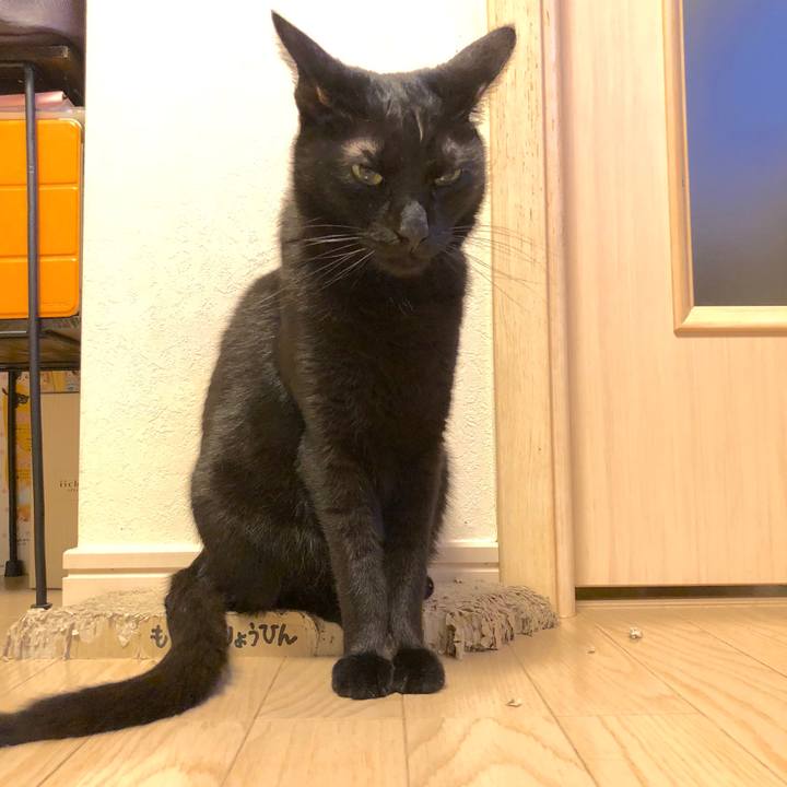 D3e5dd12 8c03 441b bf6e e32aa7ec4f1f 1526299568609