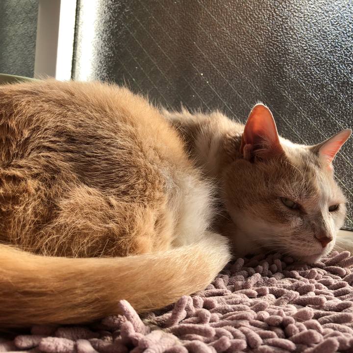 D3e5e857 93ac 4d62 9043 773ab72c6ab9 1615374655716