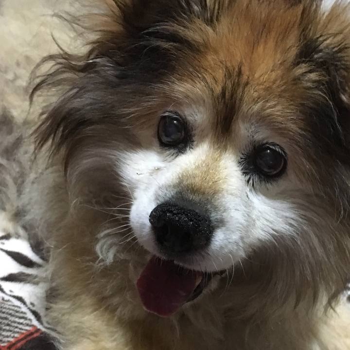 D3e5ef53 4d23 4d24 95bf 1872f15dd827 1622366513550