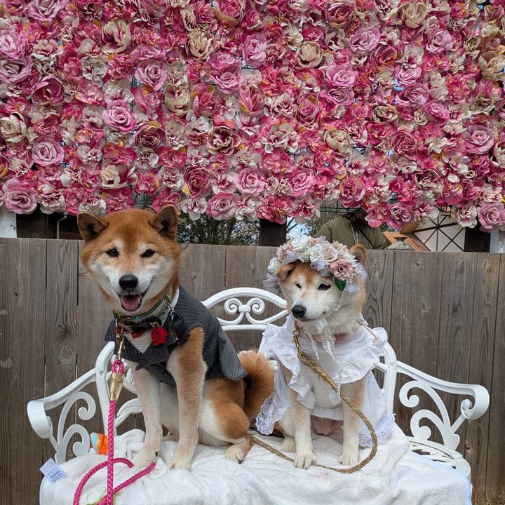 D3e6350c d0d1 4fb5 88bc 6734d8dbec00 1741618745017