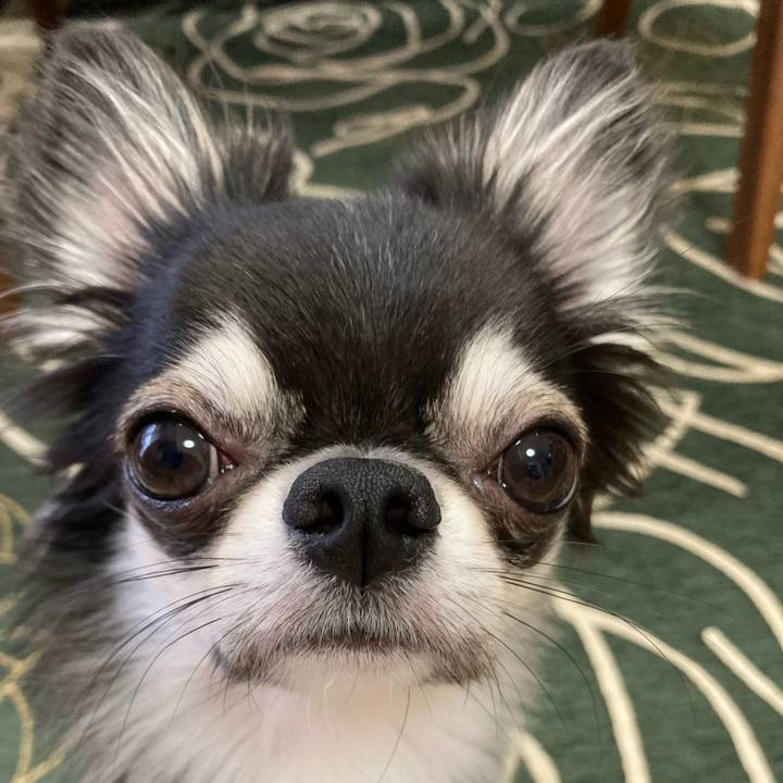 D3e6605a a336 4c74 9ab6 74d7e75b2d75 1632002943129