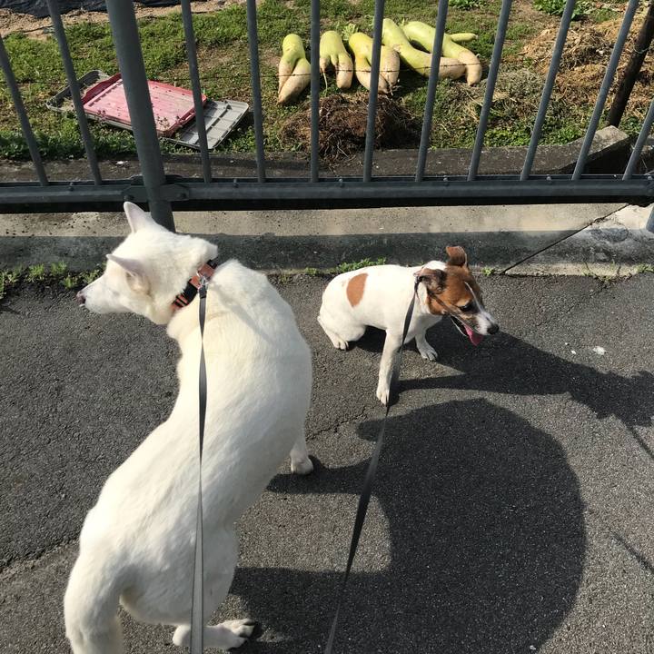 D3e670ea ca0d 4179 8d34 f8cabec118f6 1522548495303