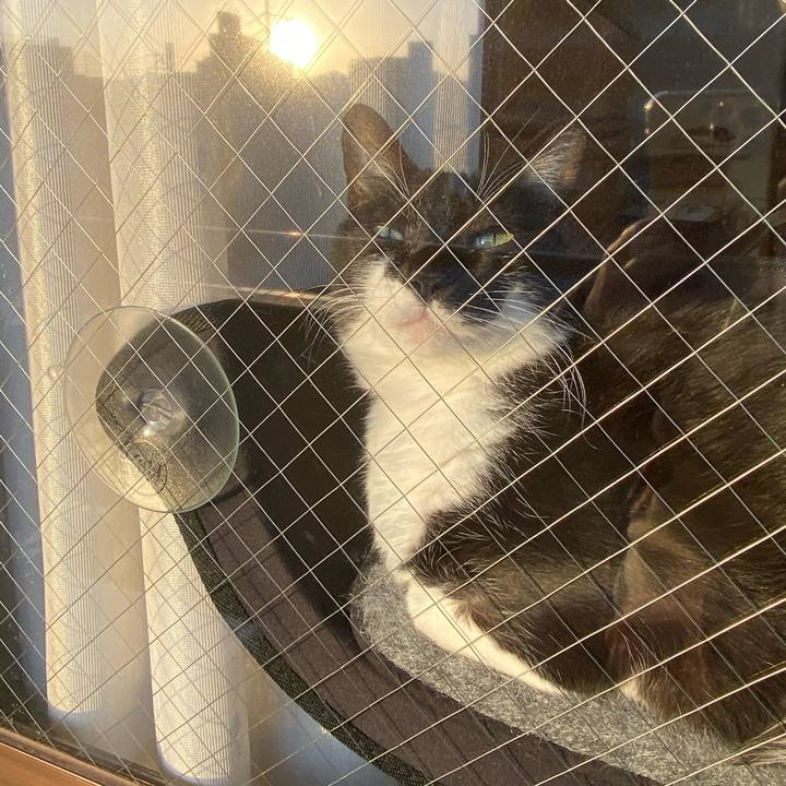 D3e679ca 31f0 4347 9b3f 26ff9dfe5385 1610623776969