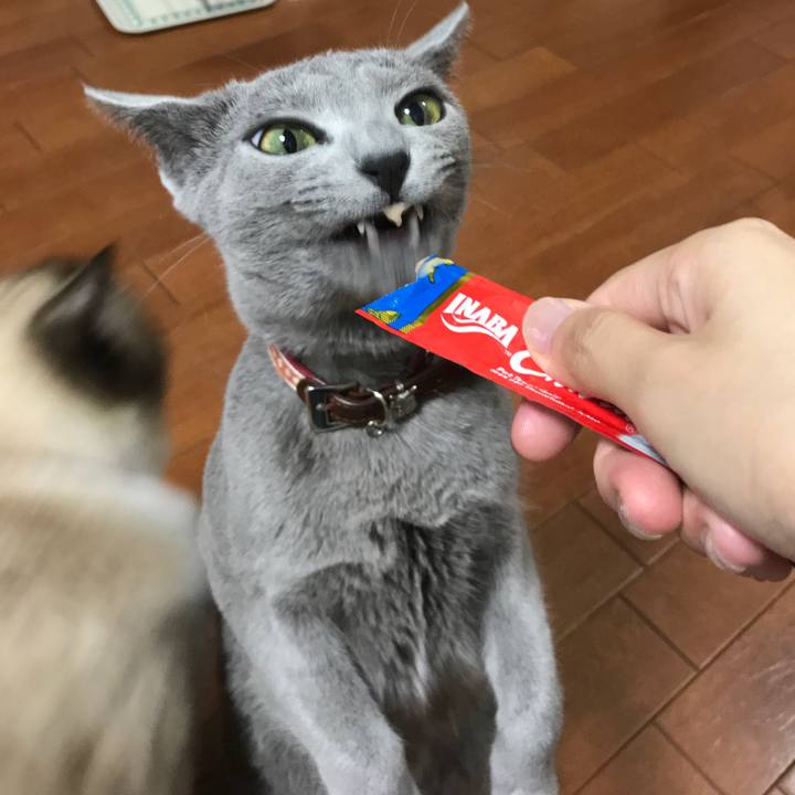 D3e6aa03 4815 4fa0 825b fea89424baac 1537311543667