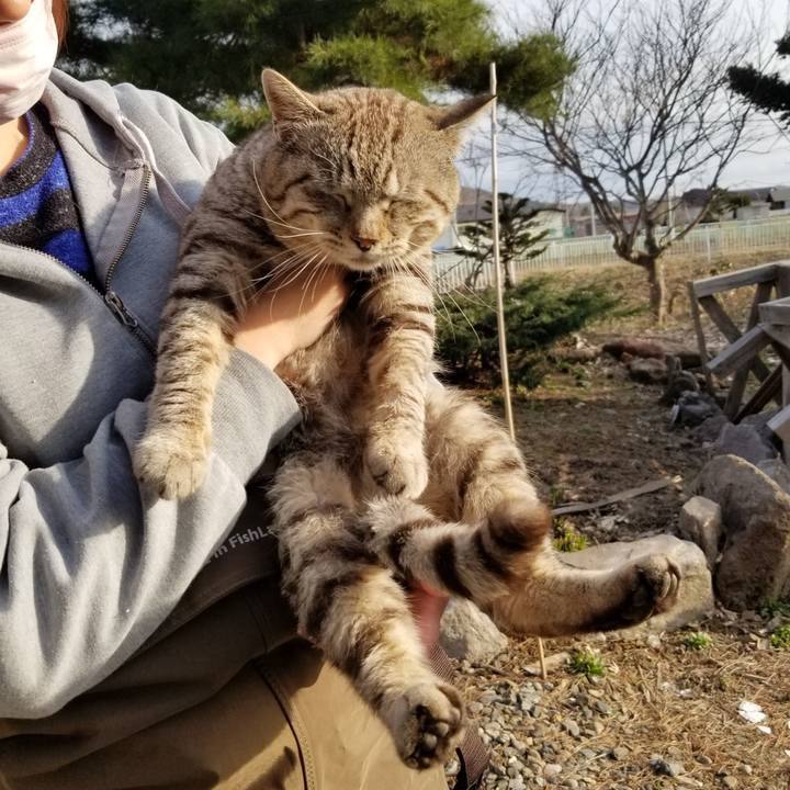 D3e6d3c5 0dc0 4bcb ac6c 1108f8d7a2dc 1681608811300