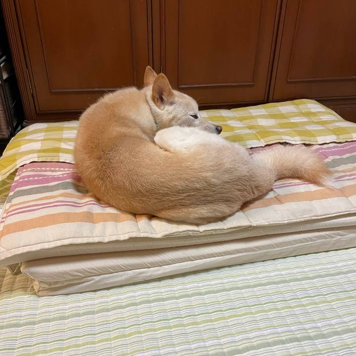 D3e70f5d 196e 4bbe b00f 9eec9aeb6add 1606216546486