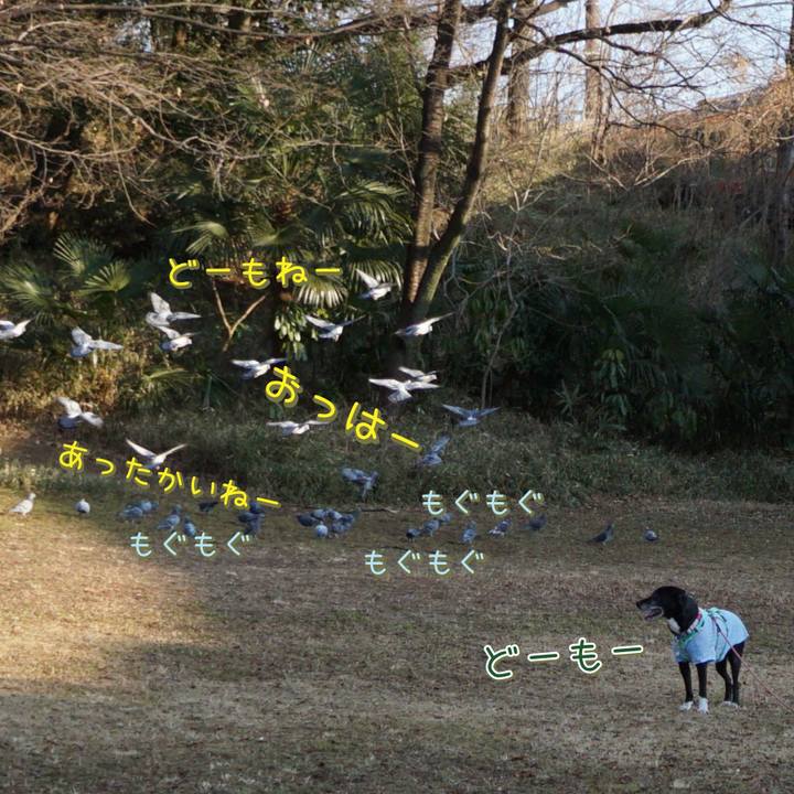 D3e71770 83c3 4bff 9cd3 00569a189822 1771201153214