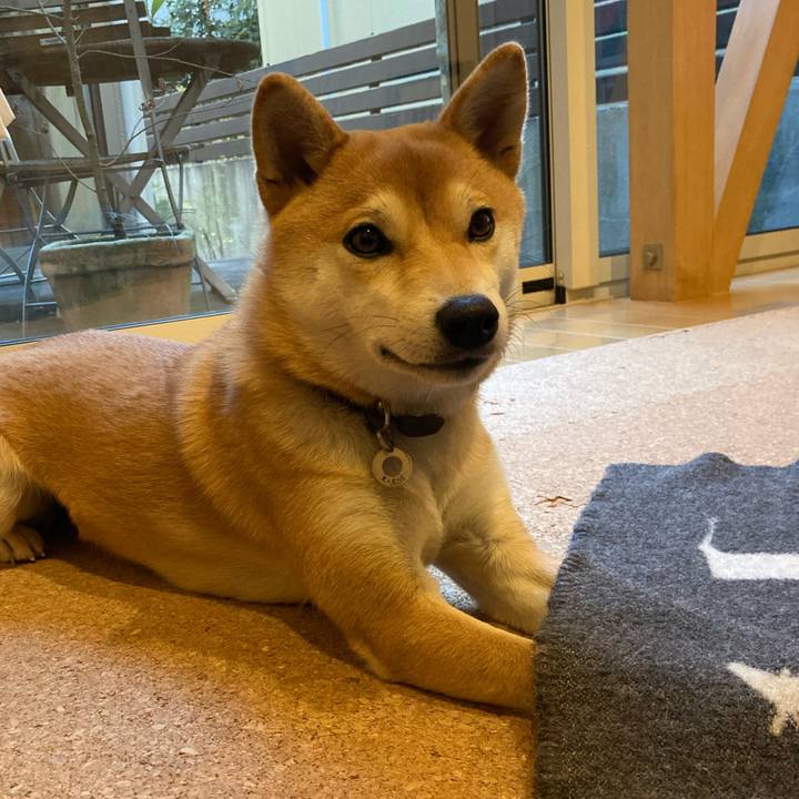 D3e72c67 8e66 42e4 b2b2 d5784c753ca6 1639825532557