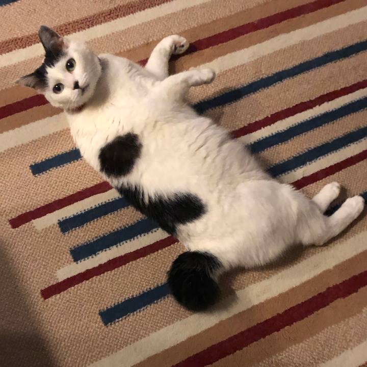 D3e77e2c aca2 4adb 8ac9 d212ae4ee1f5 1553949348794