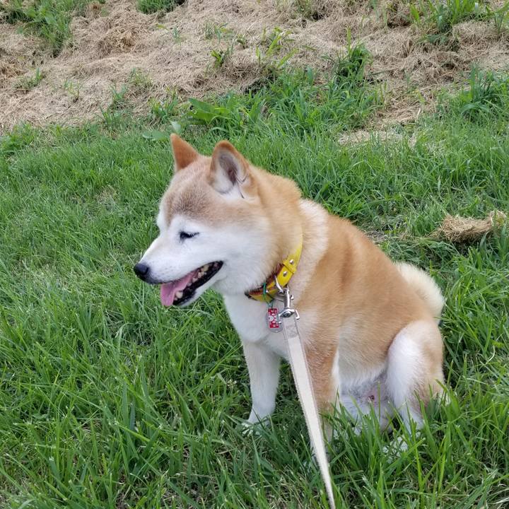 D3e78cdb 74f3 4ffc accd d8942815aaee 1690272419017