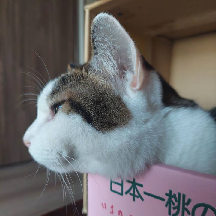 D3e797d2 c92d 4c5c 9270 7dafd5f759c7 1694560360398