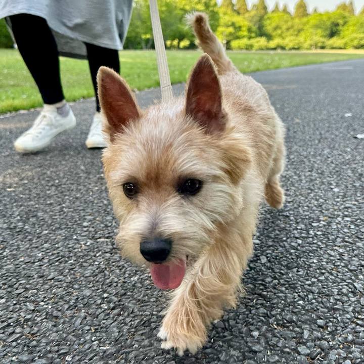 D3e799be 880a 41a7 84ae 387c64f3202f 1714838340447