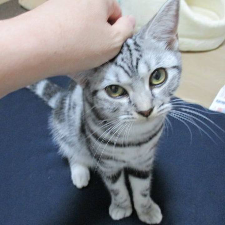 D3e7e332 2a5b 4e12 90ae 28292af5bf6f 1538999569610