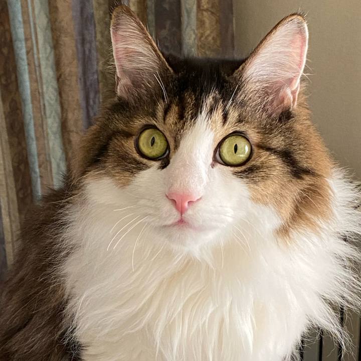 D3e7f462 7645 4753 99b0 9505e20fbd76 1733452802046