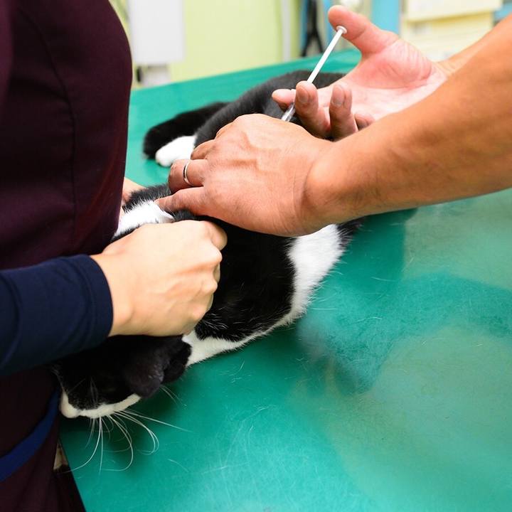 D3e81b90 43ec 45de 88aa 71e49e0b0dba 1537043999921