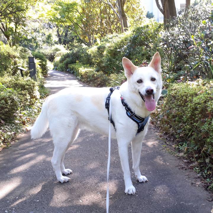 D3e83254 5d59 486c b3c0 dddbd4071a2f 1664596083638