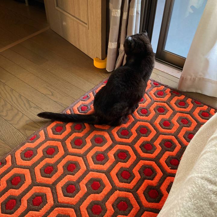 D3e83922 f055 42bb 8940 fbe9e0b0488b 1589451851960