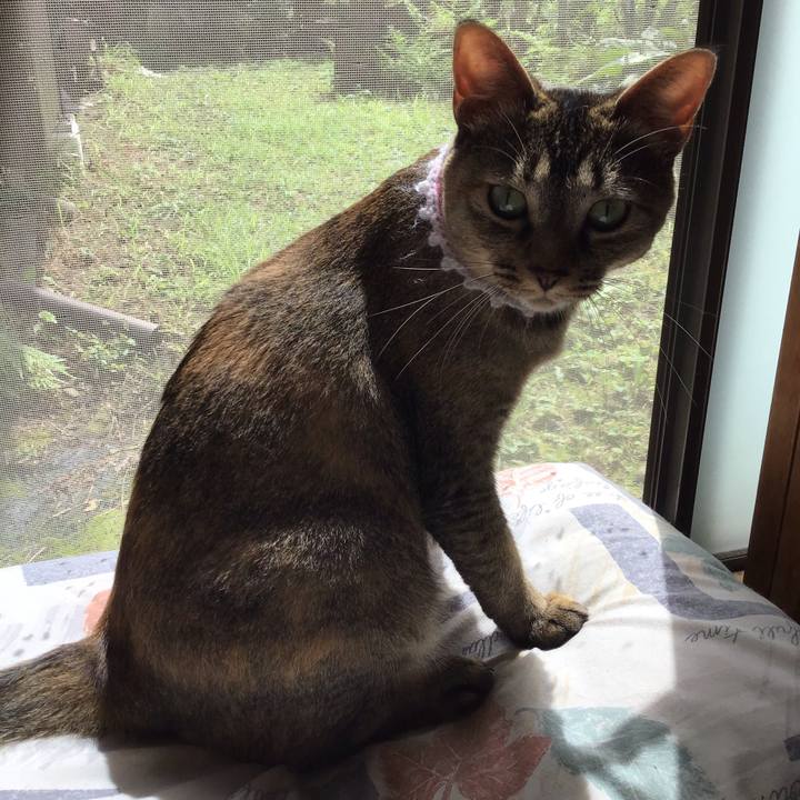 D3e852e2 bd70 4fec 8d26 b9bfc33455d7 1595725308699