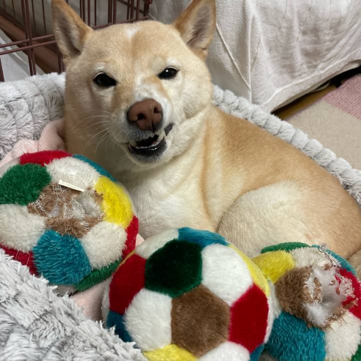 D3e858eb 23e2 4732 a957 eb91e3a54da5 1702555939336