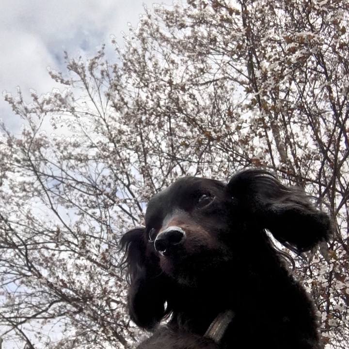 D3e86050 7c86 4a39 8d87 c170e67e2d00 1521345387646