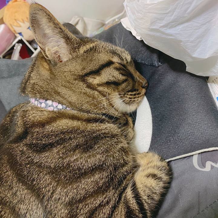 D3e8798d bb83 4dcc 9ae9 075eb0c52c47 1589379888277