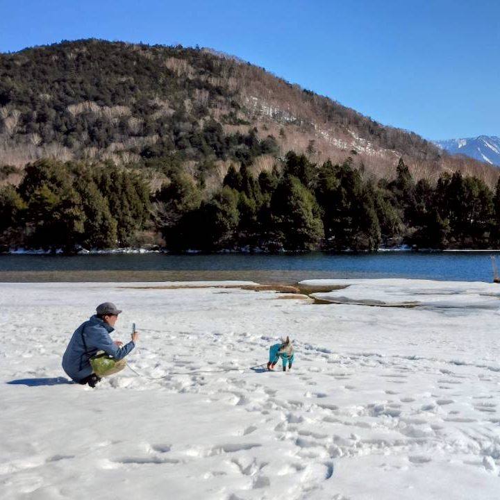 D3e87f30 2eba 45d9 b8fa 6daf55db7def 1771159974777