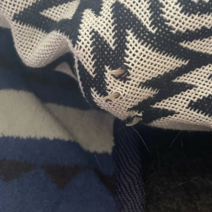 D3e89dfd 7fb9 4430 9a71 86ae3411b746 1688895356858