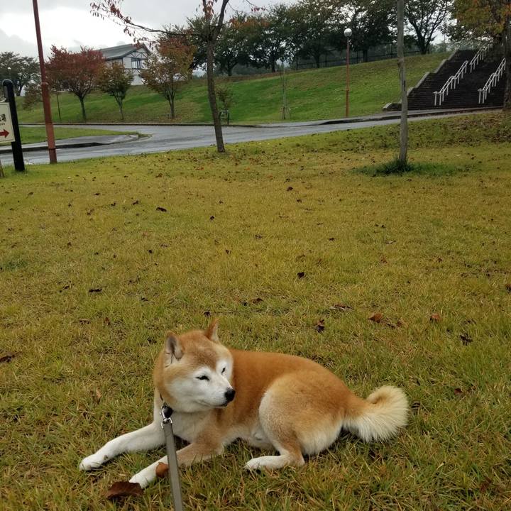 D3e8a03f 956e 455f 879c b70d871546d0 1697345035959