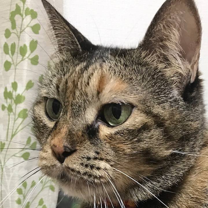 D3e8b0bc f6d6 409e b895 7a9e868a79c5 1539519387844