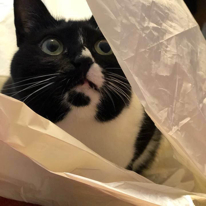 D3e8c2ec c1a9 45c0 8695 9cb632b7e96a 1557266084695