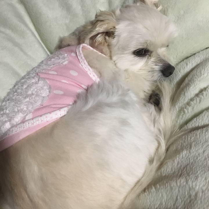 D3e8cfc7 9704 4c97 a2ee e0464bf78ab2 1553423745519