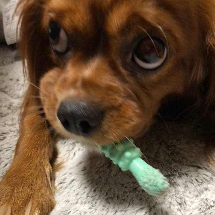 D3e8e9c4 d6a3 4107 8428 87eb0fc4af79 1541542272562