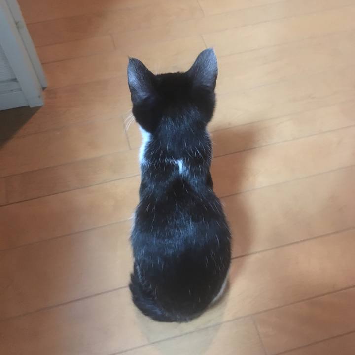 D3e923f1 74f6 43fd bd02 acb0a026b9fc 1508377555984