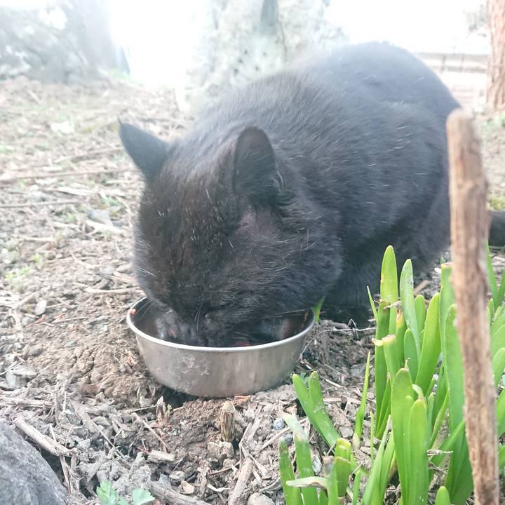 D3e924aa d744 45de b2b1 a173e7174a0d 1649801997229