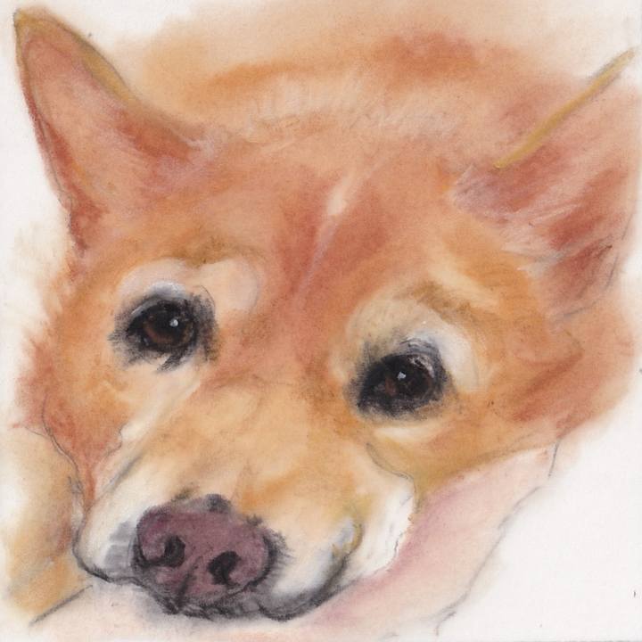 D3e93741 281d 426c a7a4 d03342389034 1726537566342