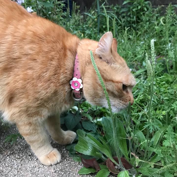 D3e953be 4dc7 4320 9bc7 5a7e7e4ae06d 1525341993775