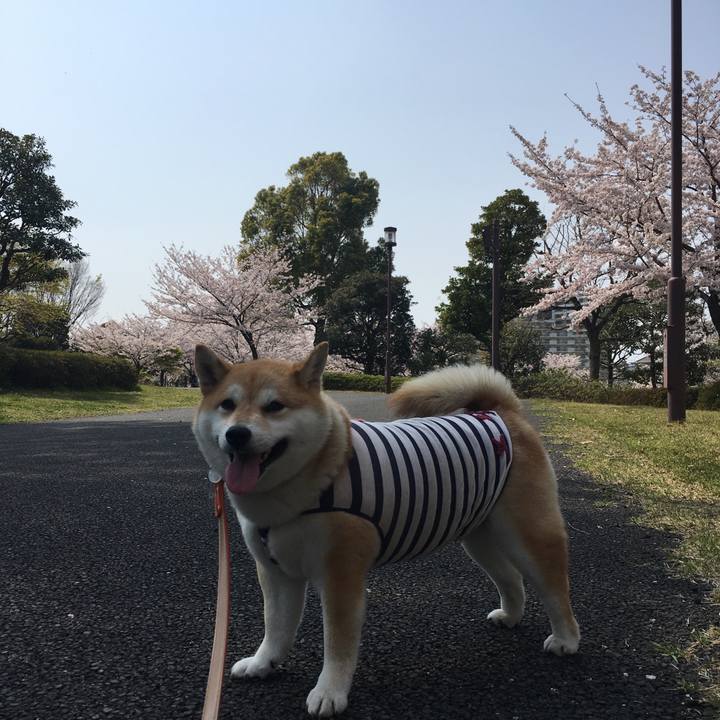 D3e95e38 1cc8 4710 a108 fce88c95fc69 1554625991440